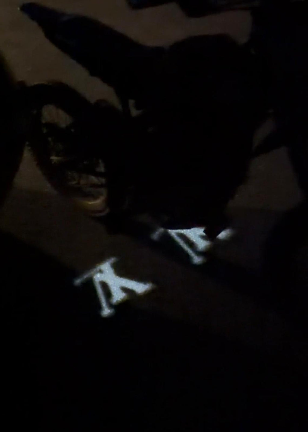 Louis Vuitton Logo Light