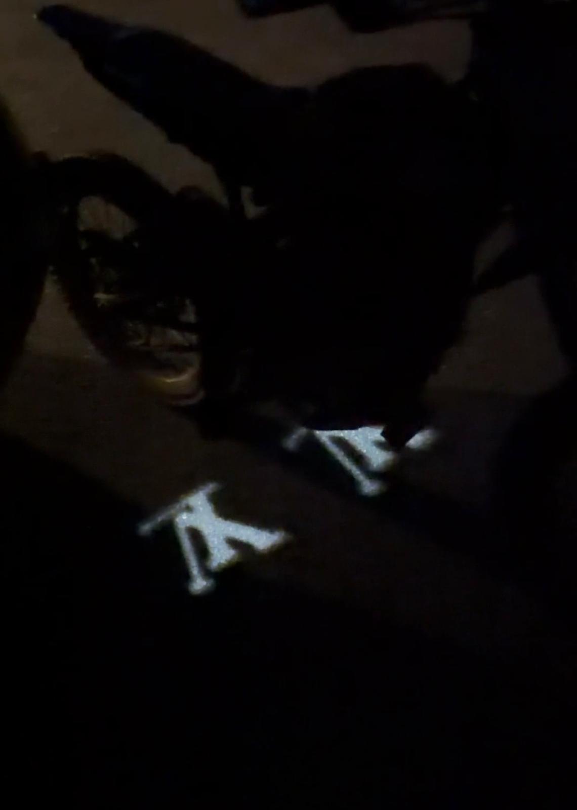 Louis Vuitton Logo Light